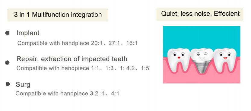 Best Dental Co., Ltd