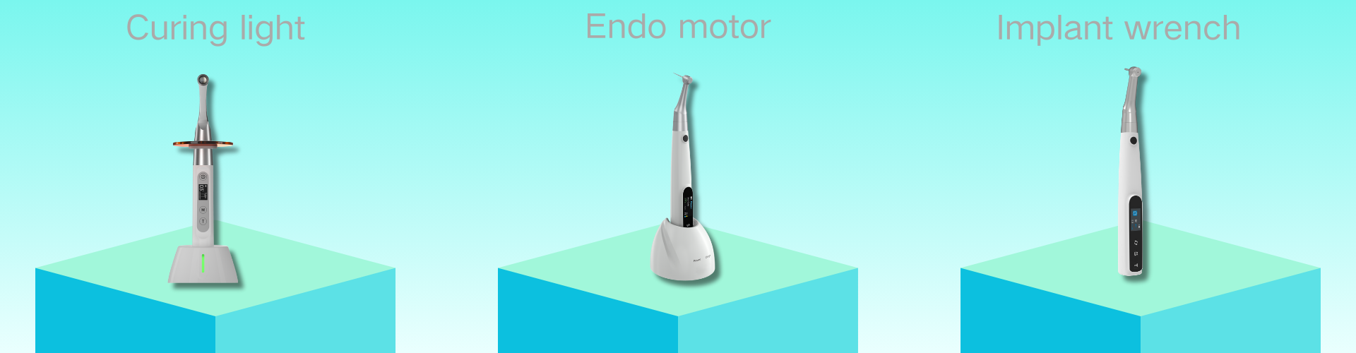 Best Dental Co., Ltd