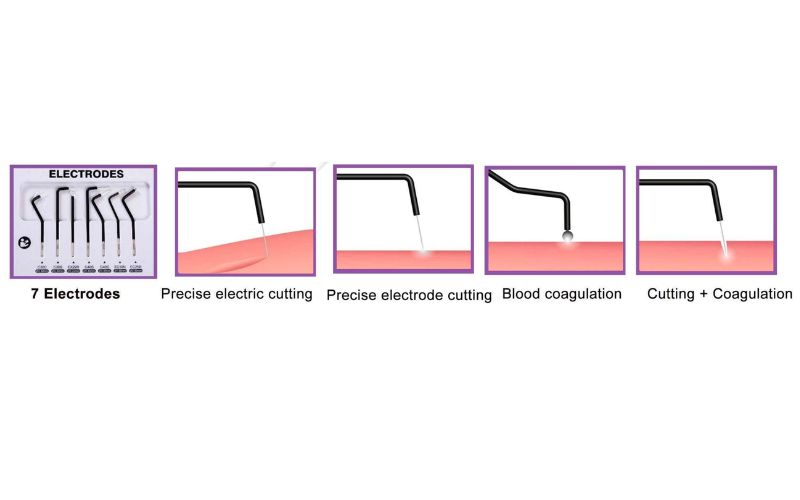 Best Dental Co., Ltd