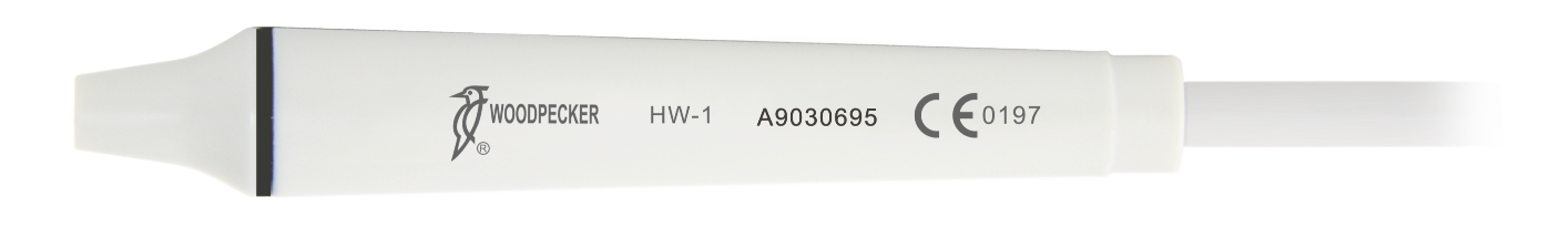 Best Dental Co., Ltd