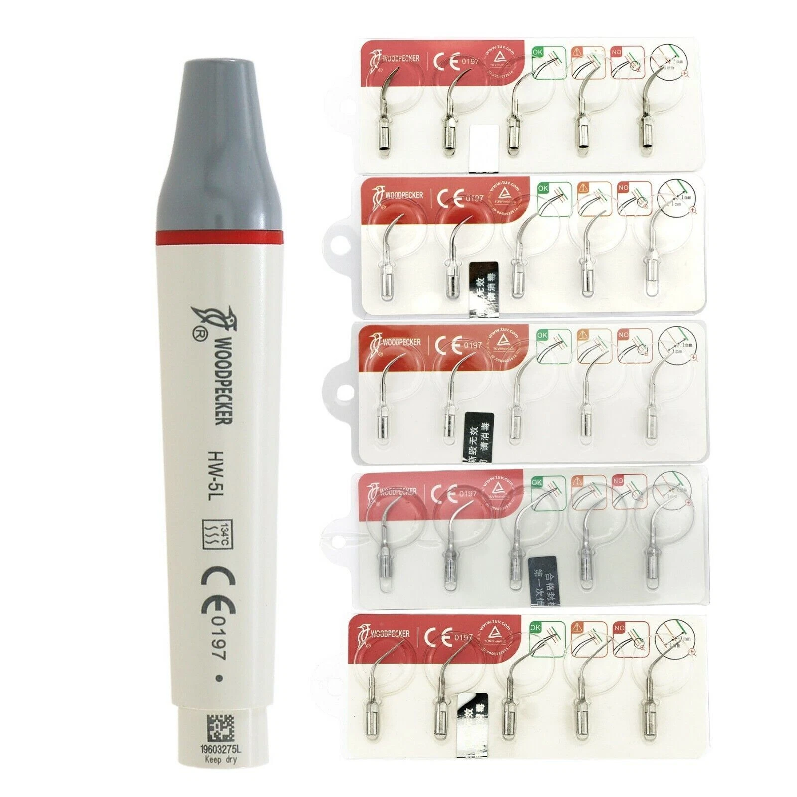 Best Dental Co., Ltd