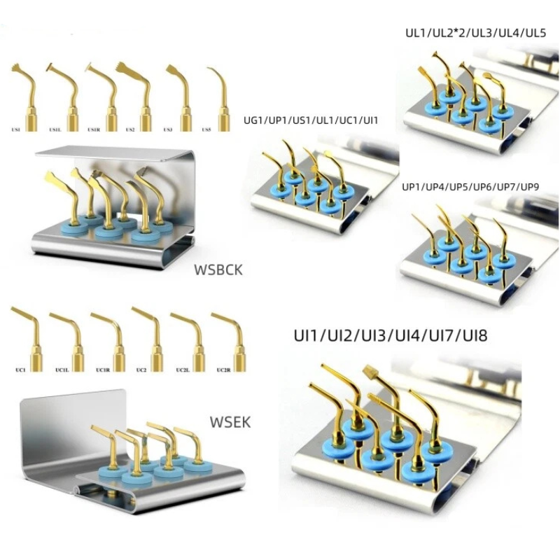 Best Dental Co., Ltd
