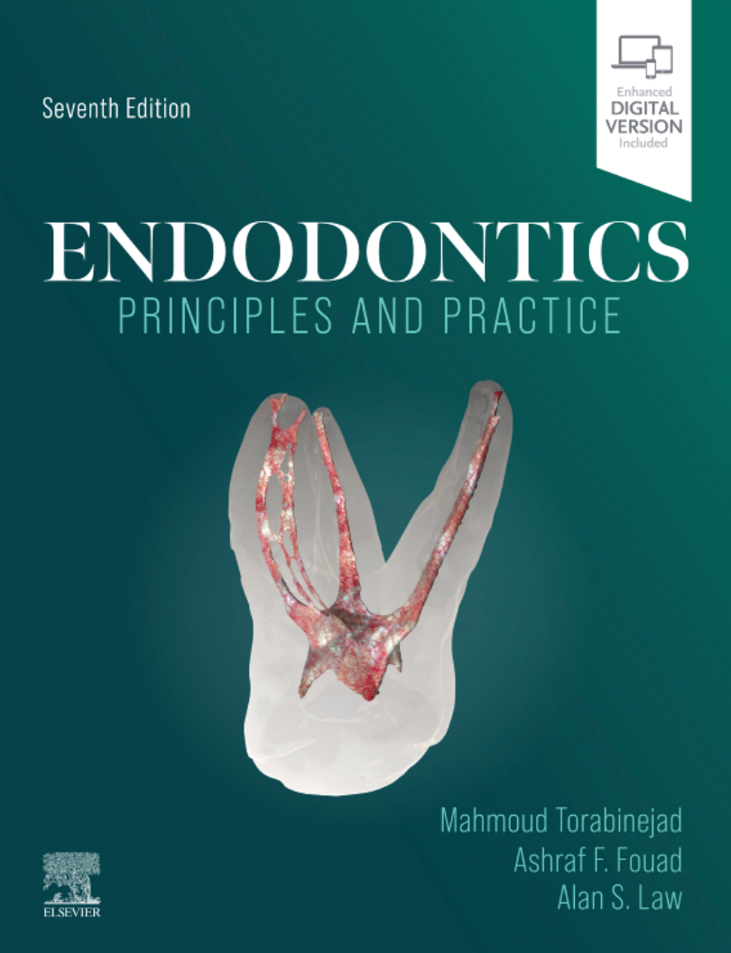 Common Dental Anomalies in Oral Imaging